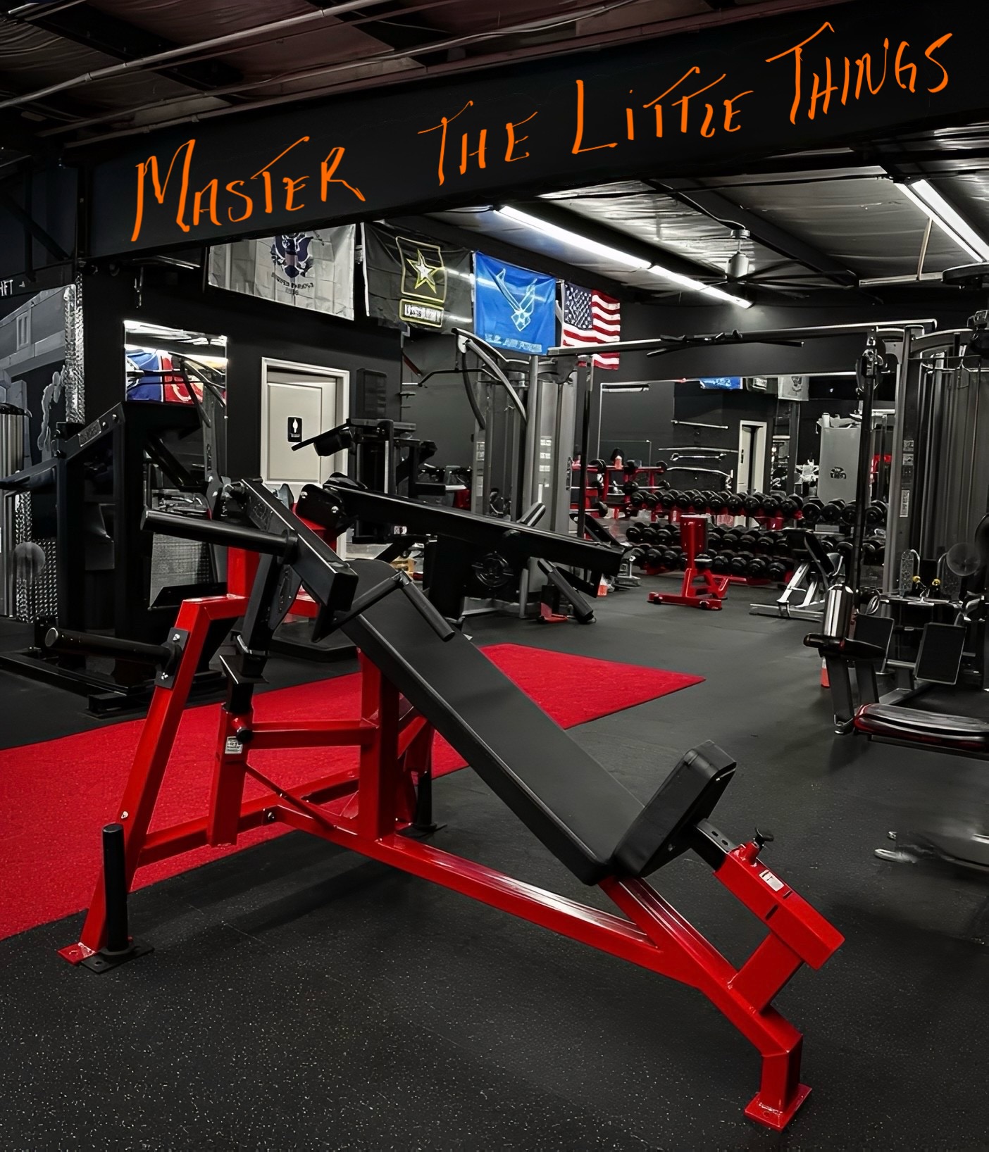 Alpha Omega private gym interior in Clearwater FL - professional strength training equipment